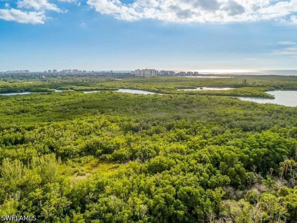 455 Cove Tower Drive Naples FL 34110