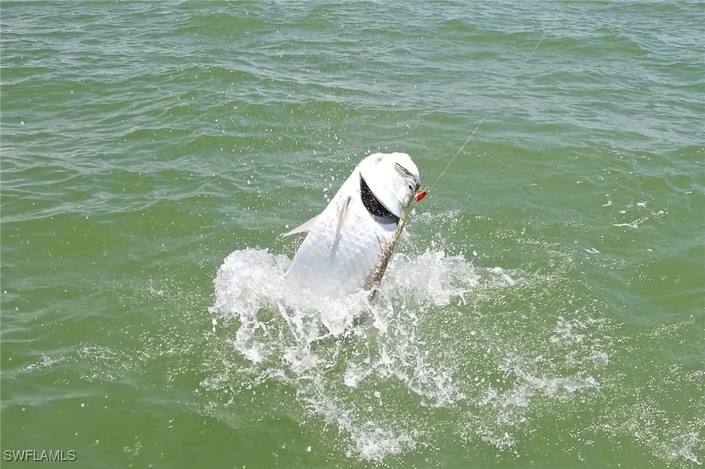 360 Stella Maris Drive N Naples FL 34114