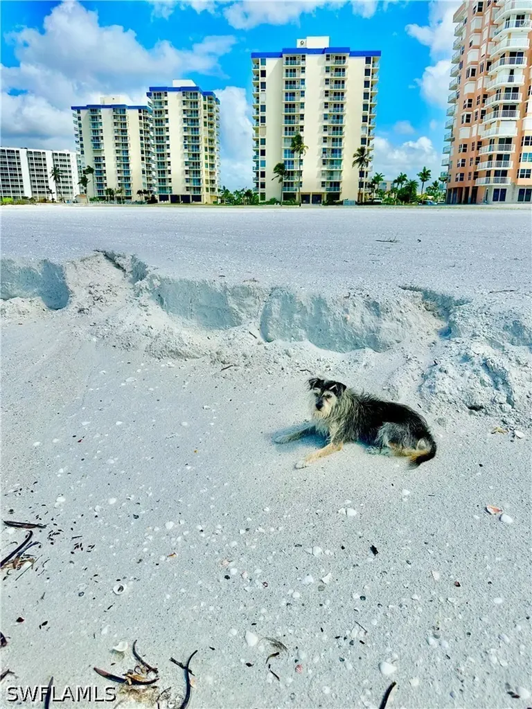7360 Estero Boulevard Fort Myers Beach FL 33931