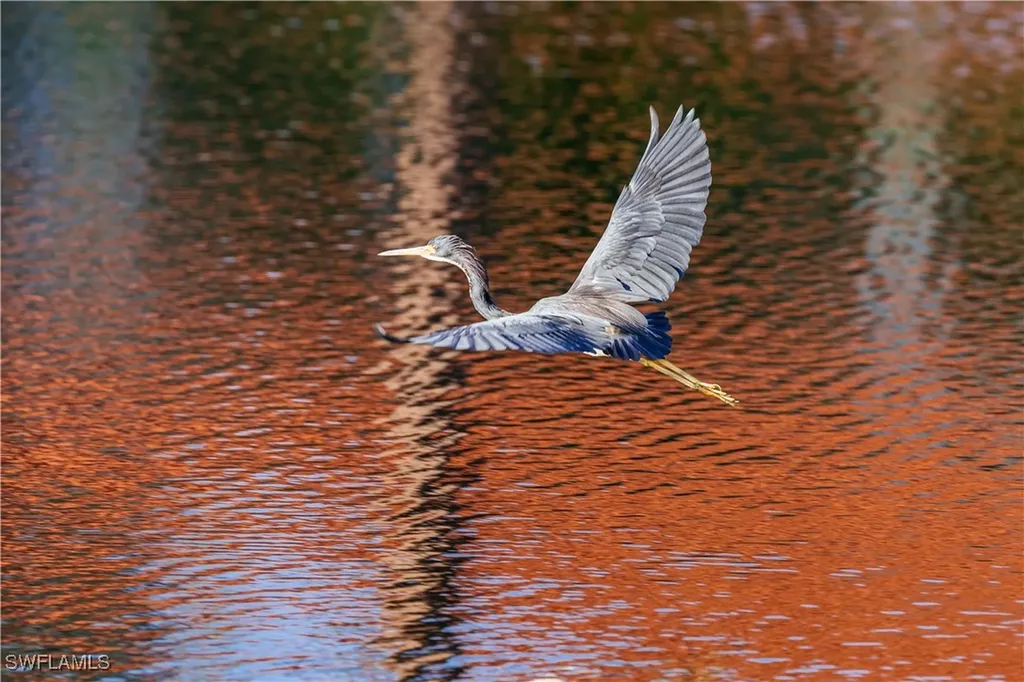 1468 Gormican Lane Naples FL 34110