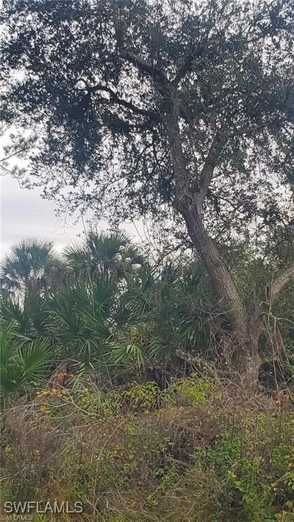 315 Ivanhoe Avenue Banyan Village Labelle FL 33935