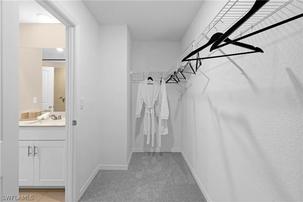 45013 Pipevine Circle Babcock Ranch FL 33982