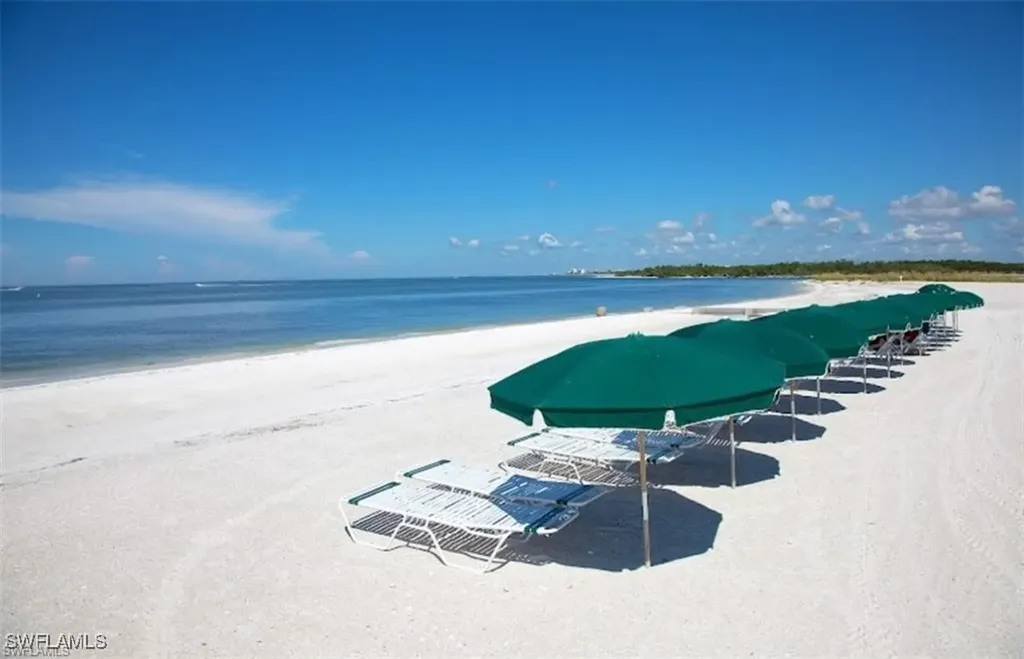 24784 Hollybrier Lane Bonita Springs FL 34134