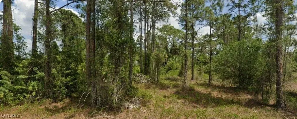 713 Clemwood Avenue S Lehigh Acres FL 33974