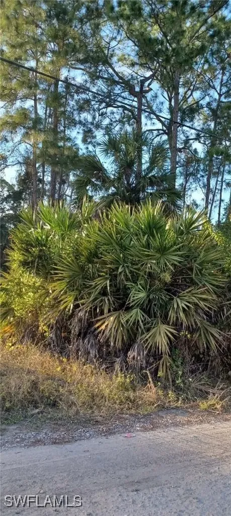Naples FL 34117