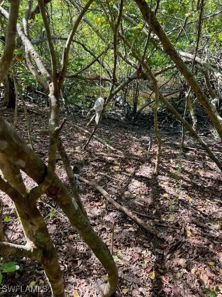 0 No Access Road Everglades City FL 34139