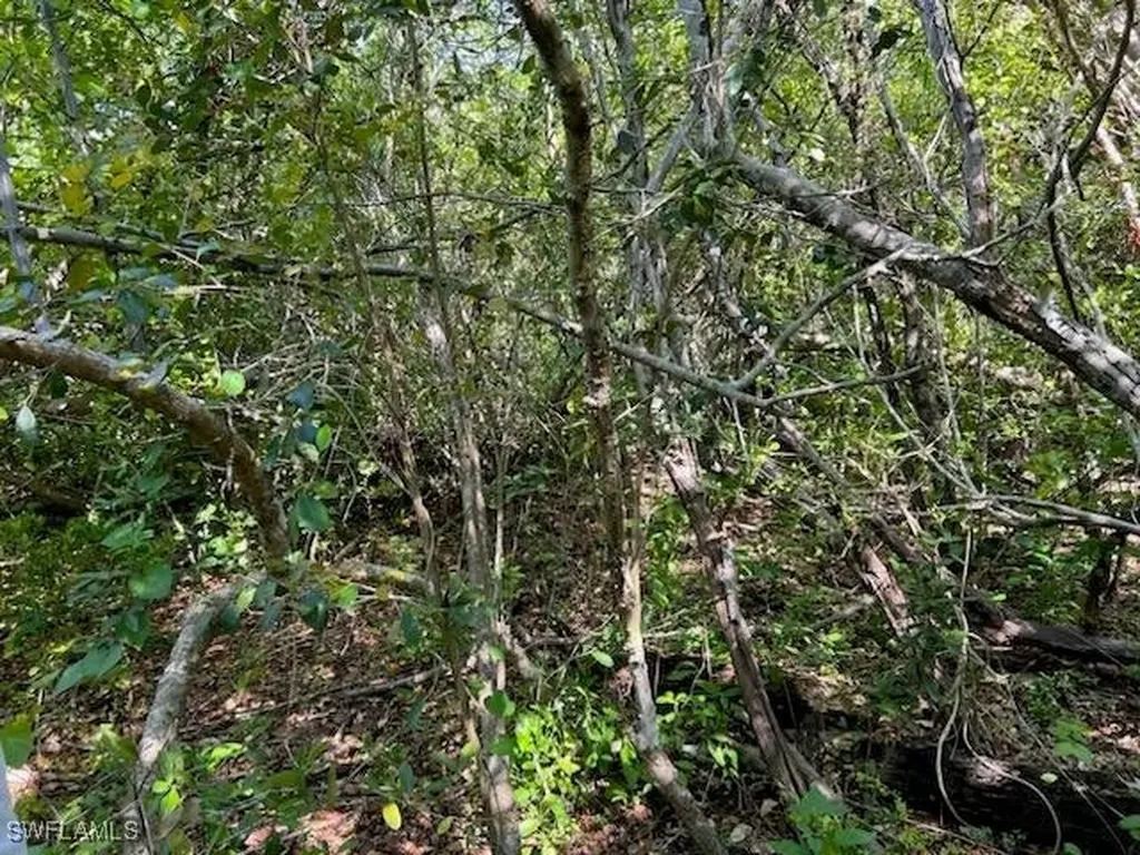 0 No Access Road Everglades City FL 34139