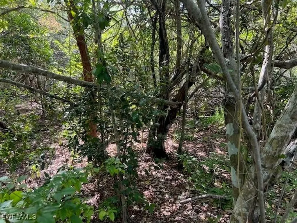 0 No Access Road Everglades City FL 34139