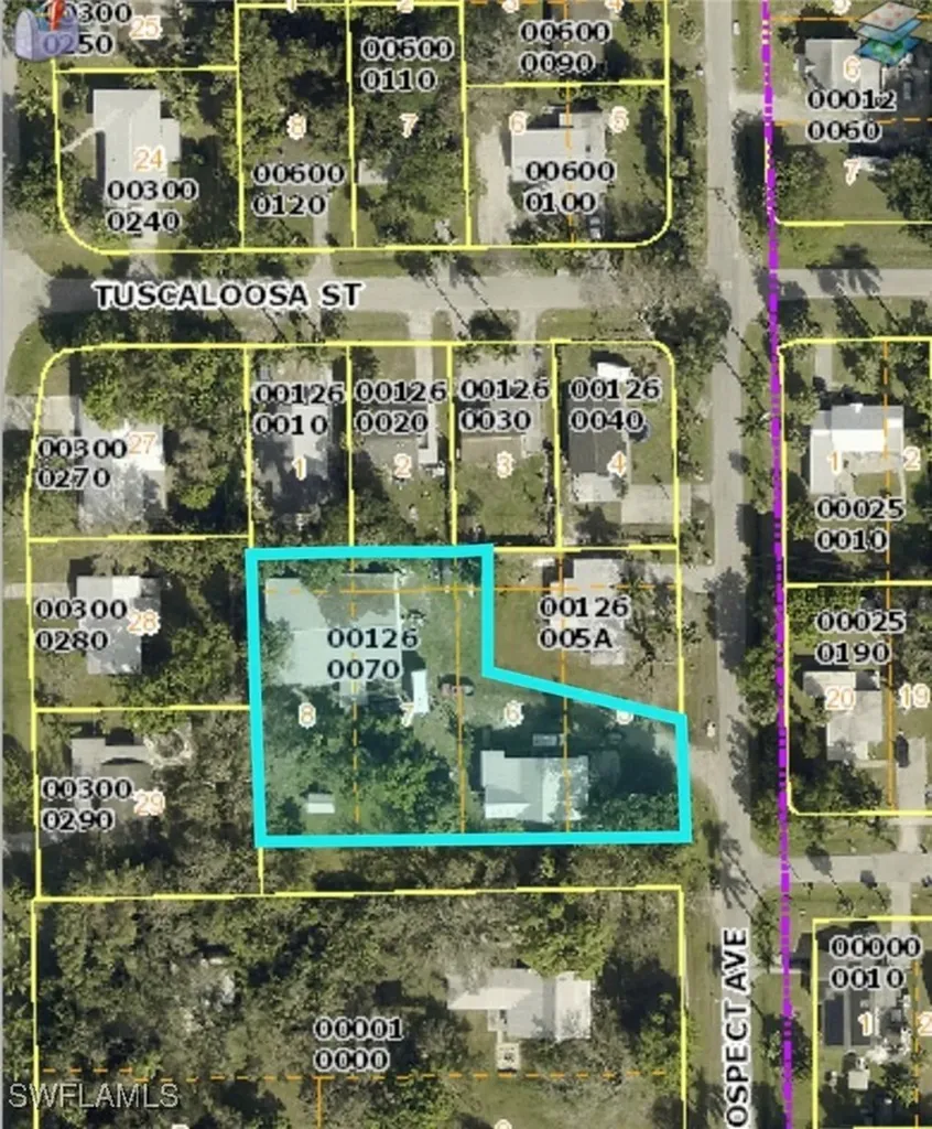 174 Prospect Avenue Fort Myers FL 33905