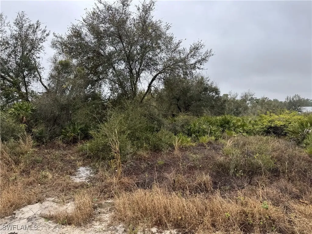 7537 20th Terrace Labelle FL 33935