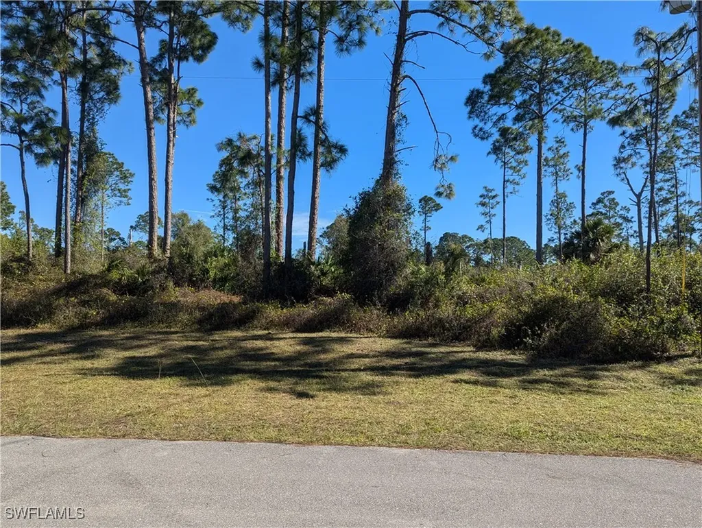 817 Pinecastle Drive Lehigh Acres FL 33974