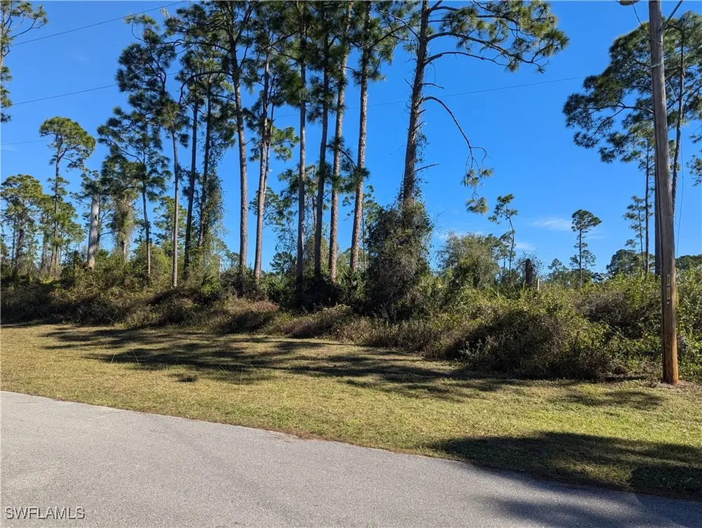 817 Pinecastle Drive Lehigh Acres FL 33974