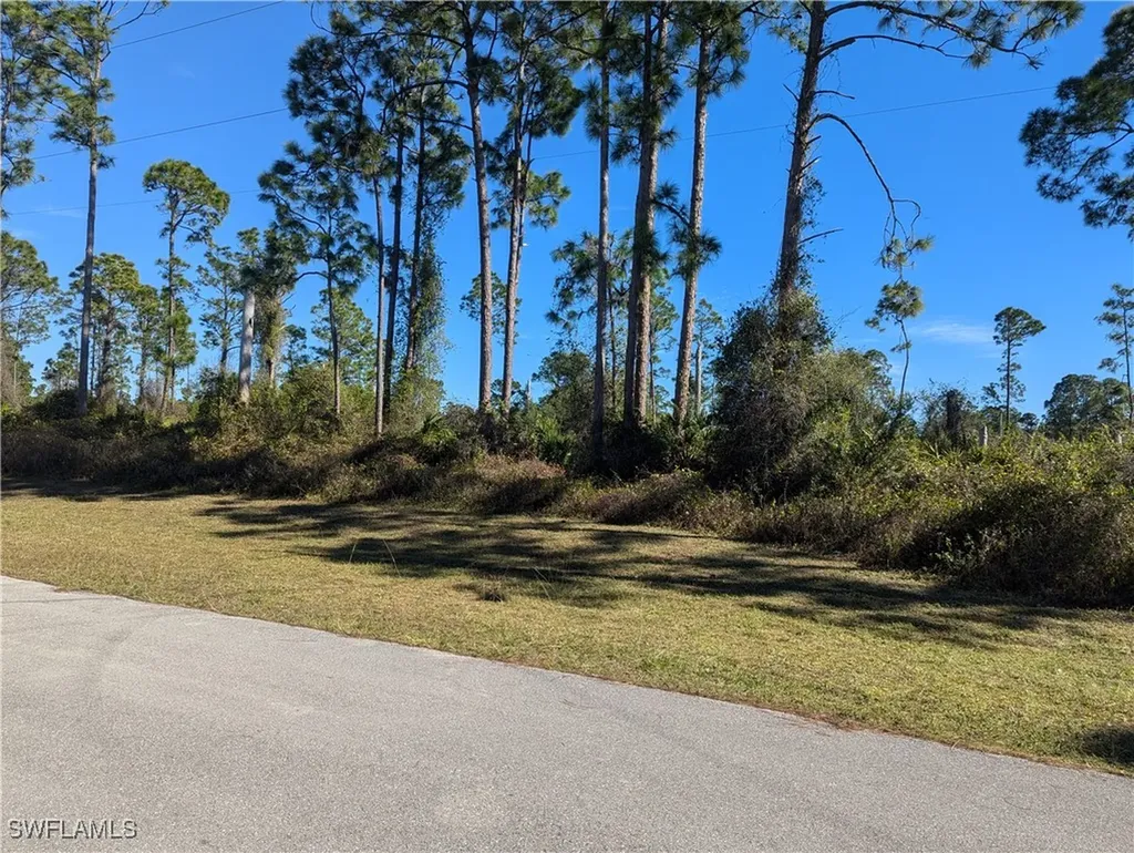 817 Pinecastle Drive Lehigh Acres FL 33974