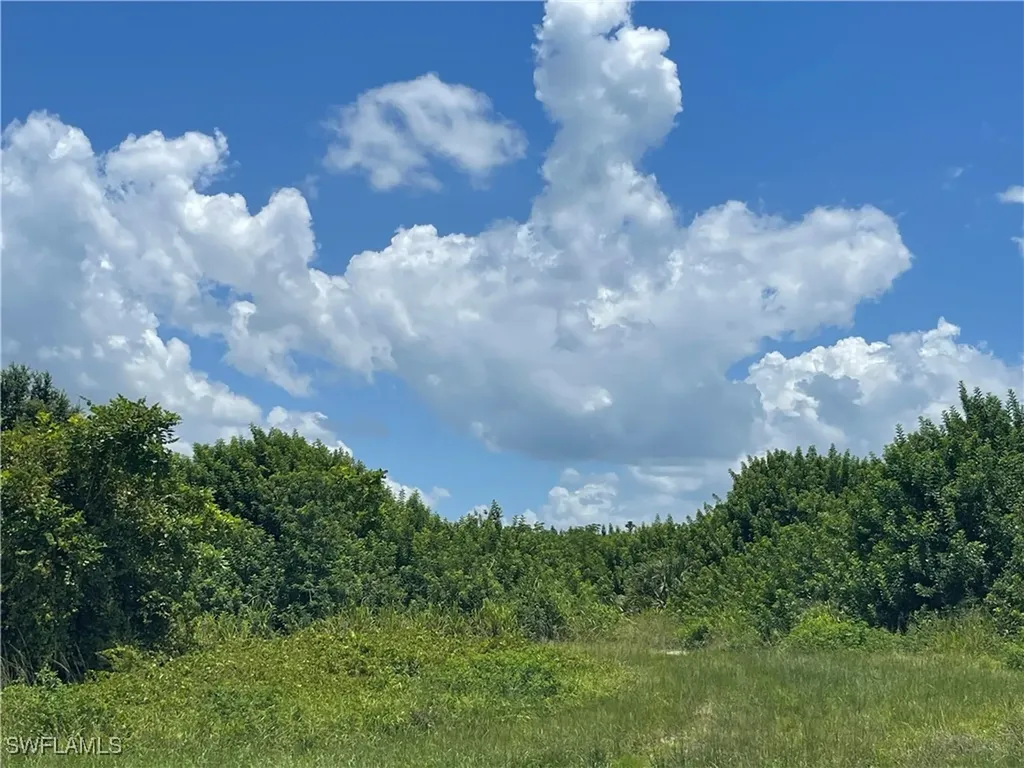 2703 NE 22nd Place Cape Coral FL 33909