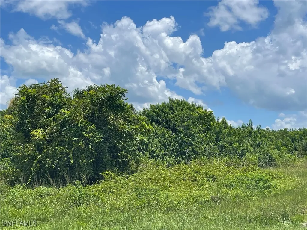 2703 NE 22nd Place Cape Coral FL 33909