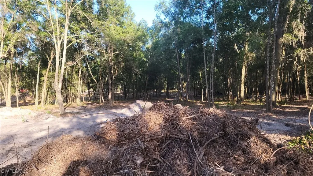 Brightway Deland FL 32720