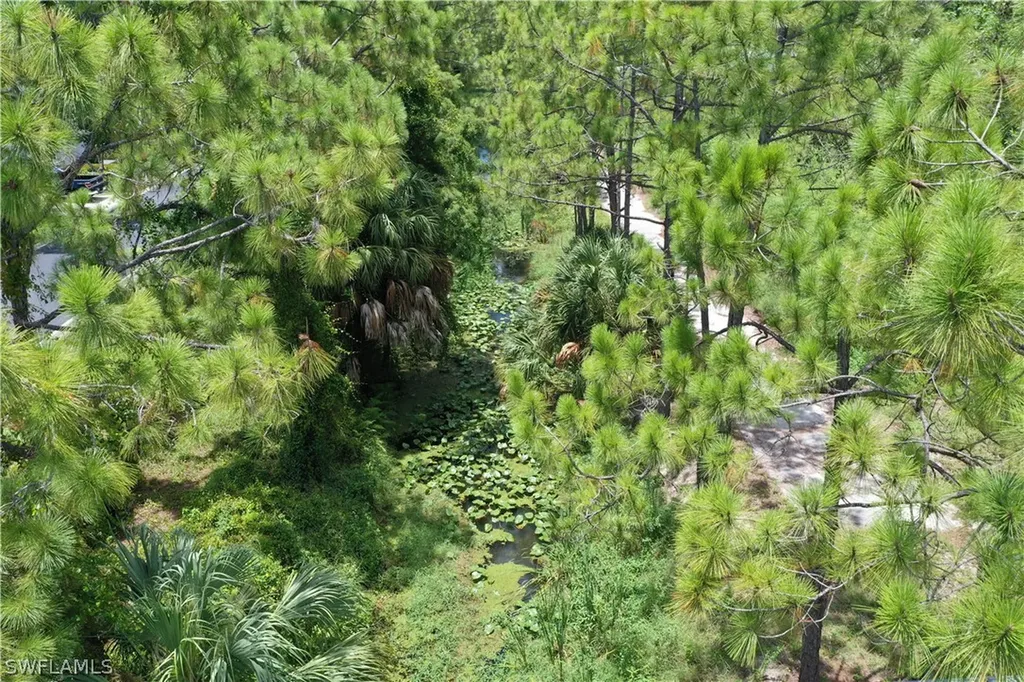 25693 Moriah Lane Bonita Springs FL 34135
