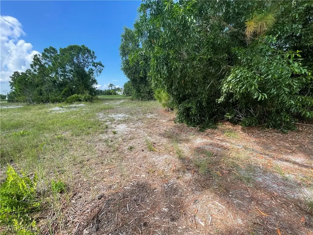 4513 NW 34th Place Cape Coral FL 33993