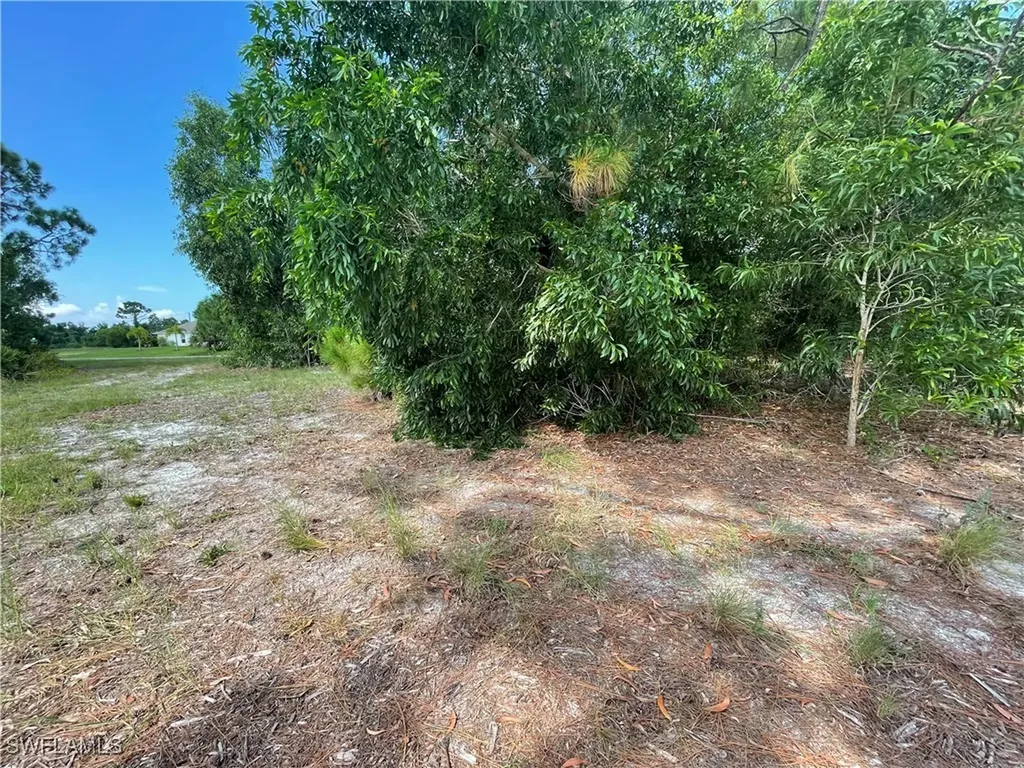 4513 NW 34th Place Cape Coral FL 33993