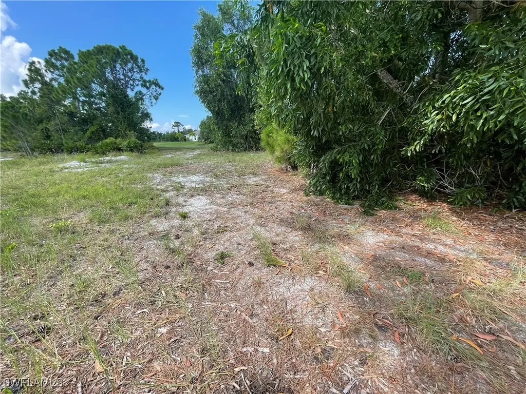 4513 NW 34th Place Cape Coral FL 33993