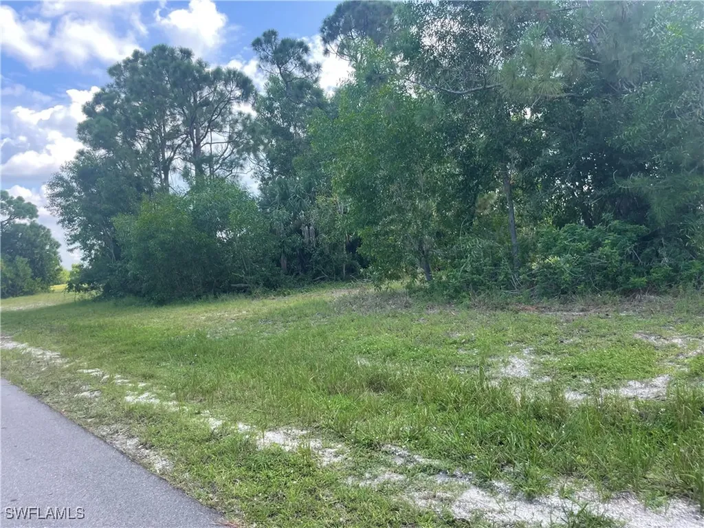 4513 NW 34th Place Cape Coral FL 33993