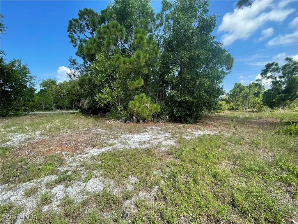 4513 NW 34th Place Cape Coral FL 33993