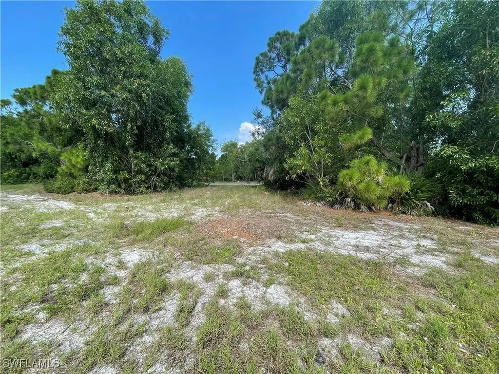 4513 NW 34th Place Cape Coral FL 33993