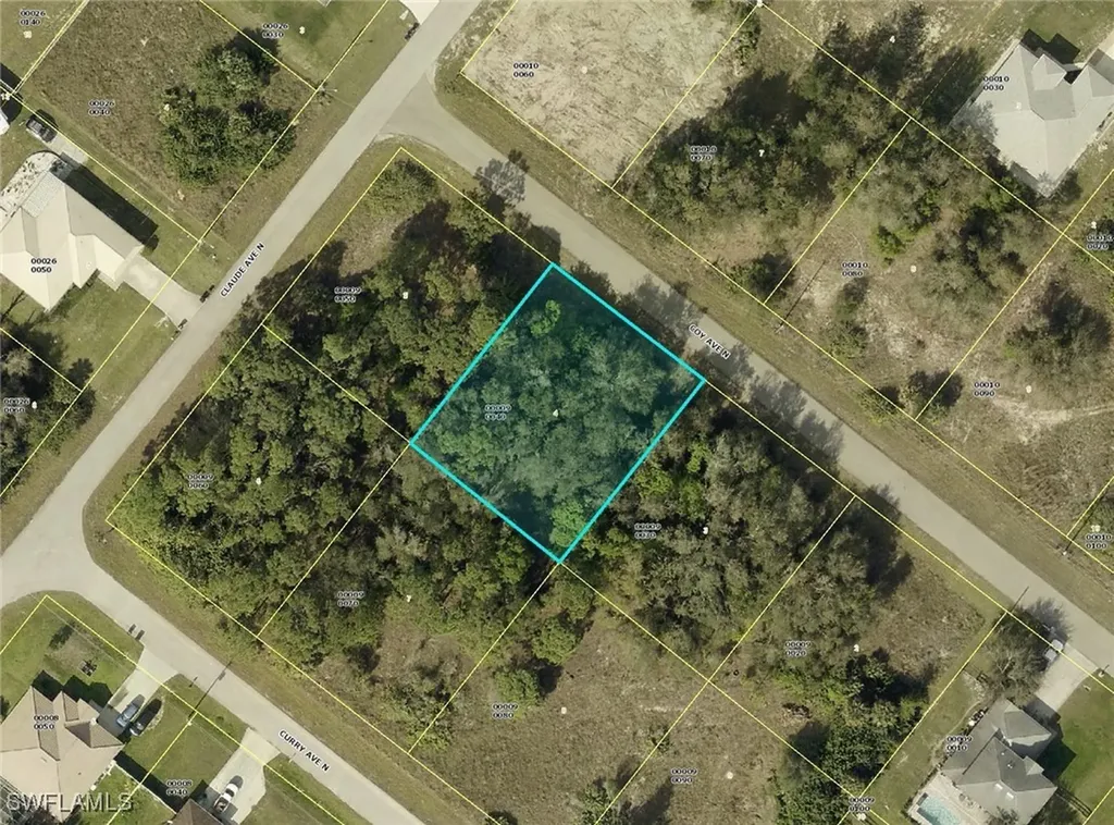 2007 Coy Avenue N Lehigh Acres FL 33971
