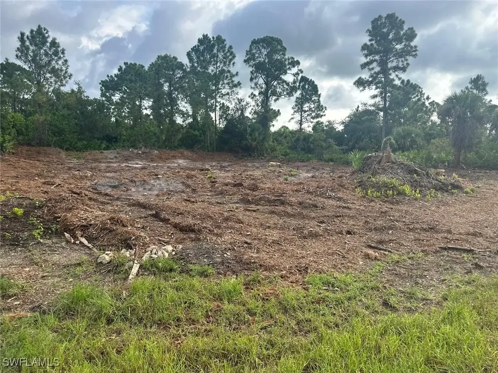 1063 Binkley Street E Lehigh Acres FL 33974