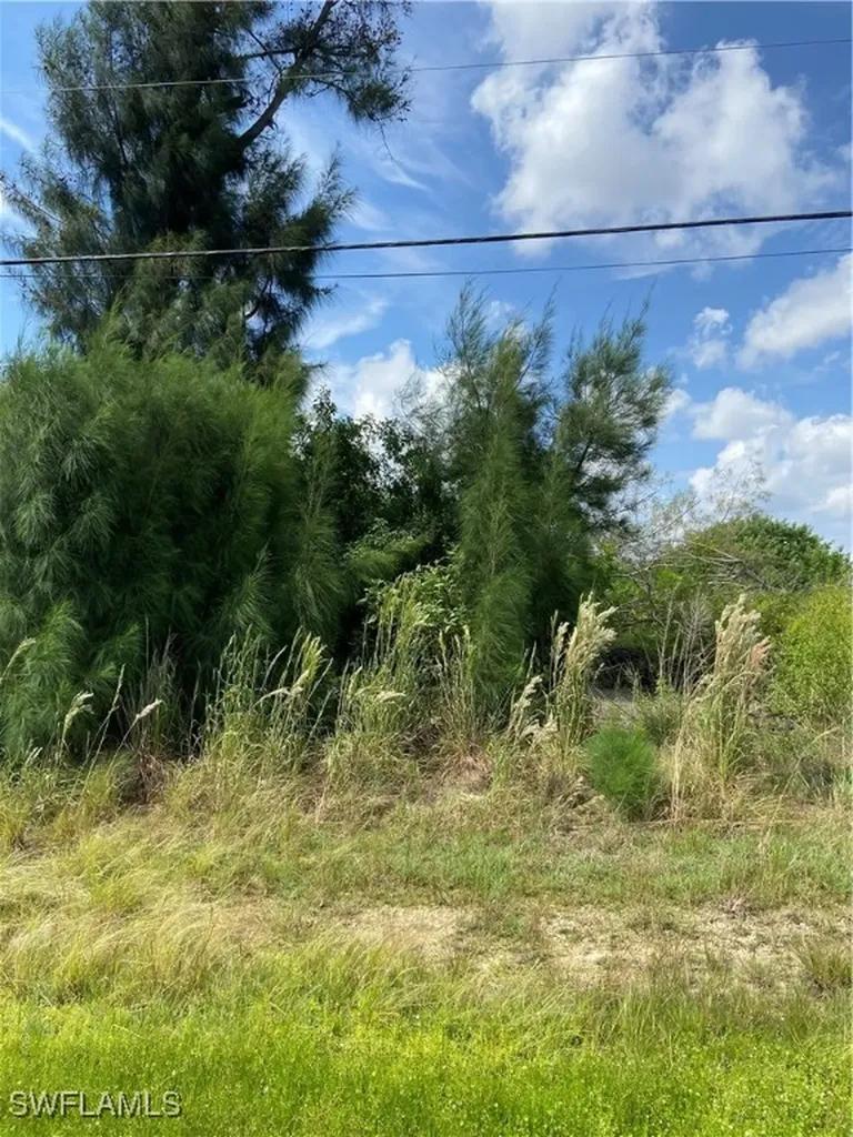 1824 SW Embers Lane Cape Coral FL 33991