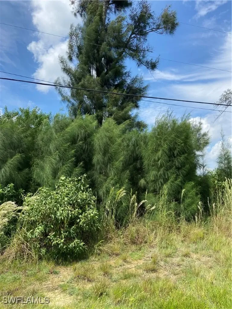 1824 SW Embers Lane Cape Coral FL 33991