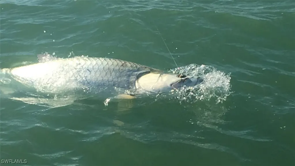 123 San Salvador Street Naples FL 34113