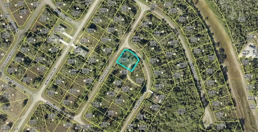 1928 Mary Lee Street Lehigh Acres FL 33972