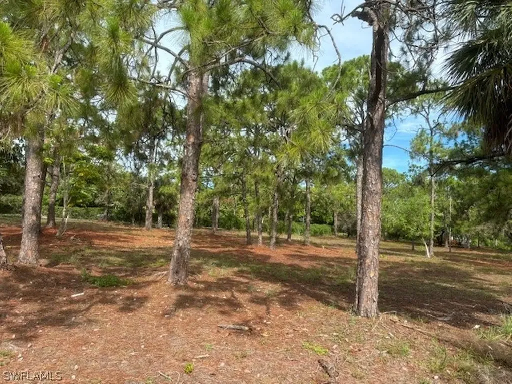 465 Gordonia Road Naples FL 34108
