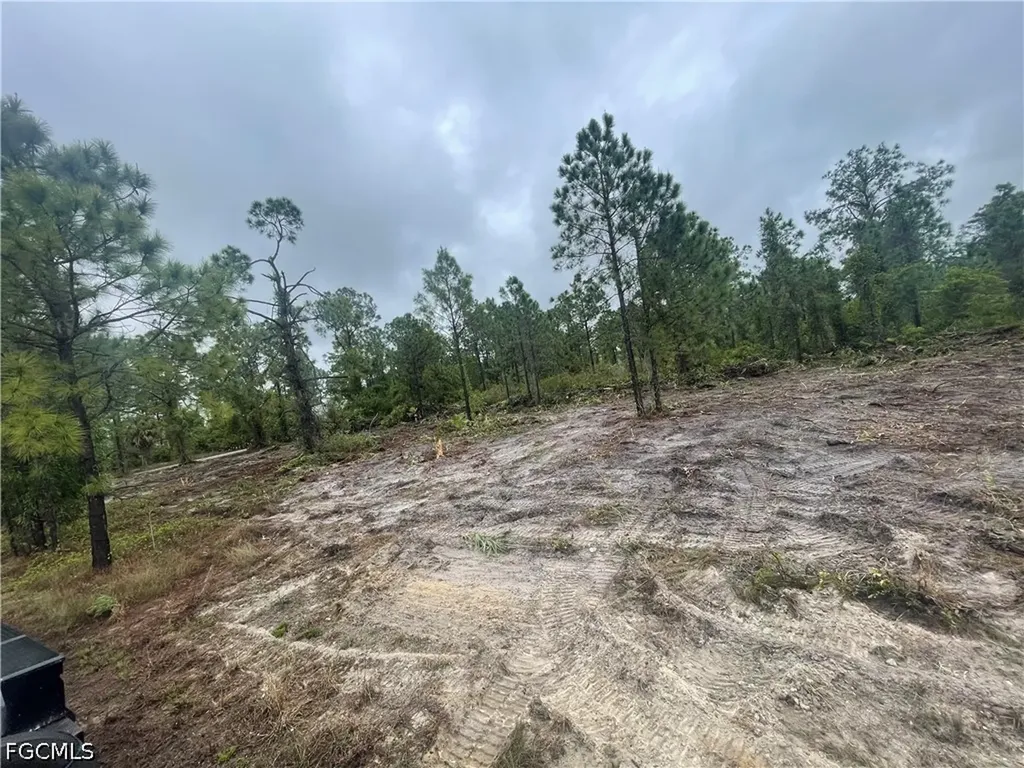 2619 18th Street W Lehigh Acres FL 33971