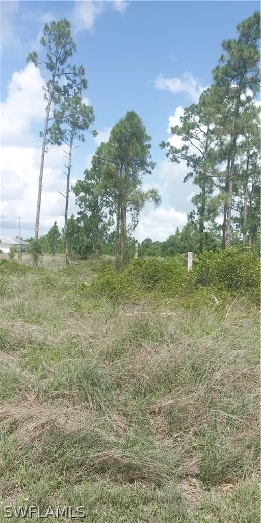 710 Giorgio Avenue S Lehigh Acres FL 33974