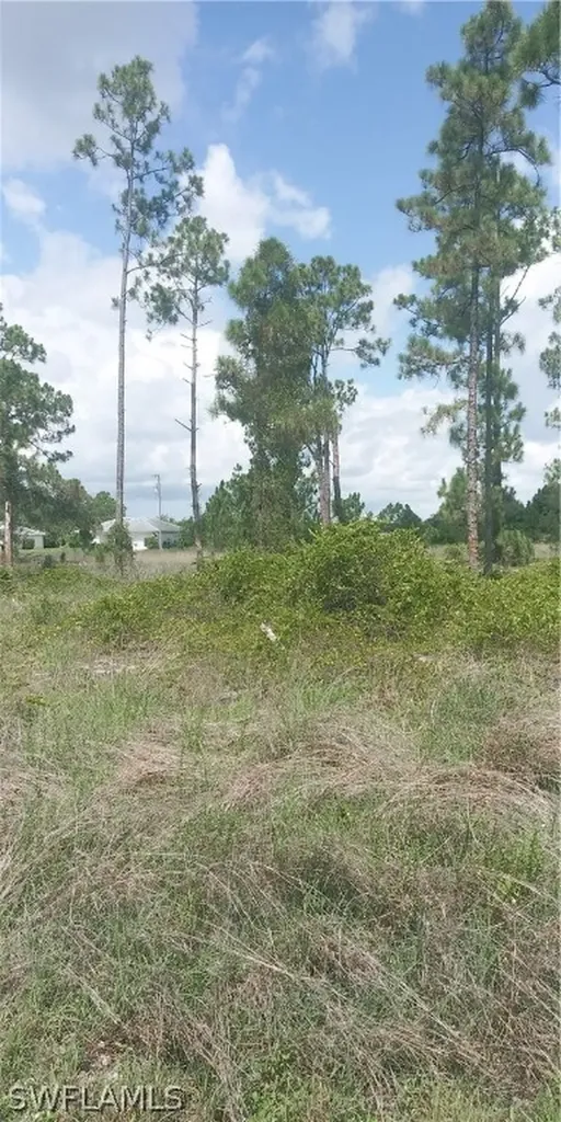 710 Giorgio Avenue S Lehigh Acres FL 33974