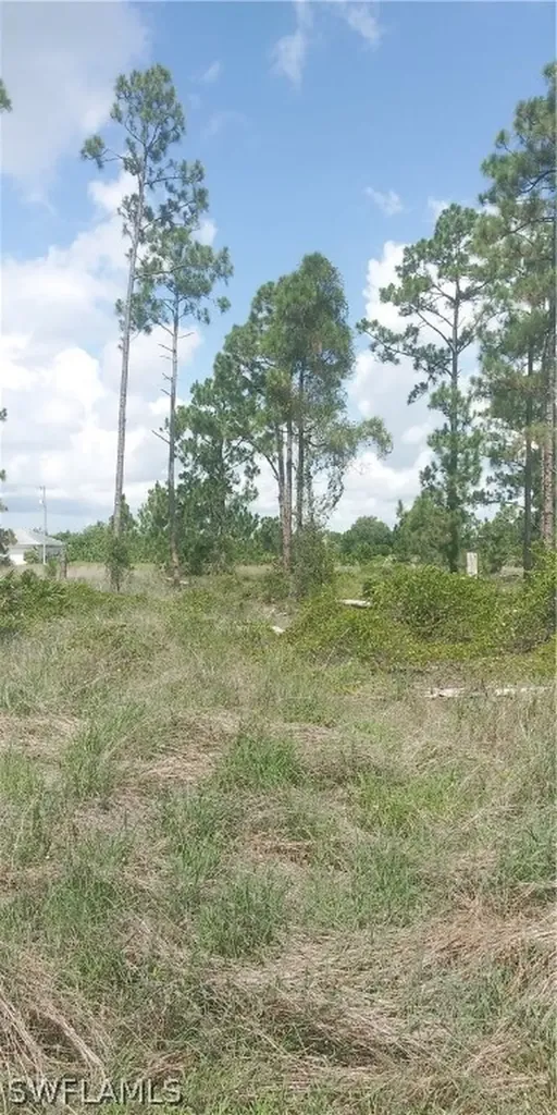 710 Giorgio Avenue S Lehigh Acres FL 33974