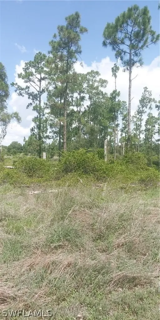 710 Giorgio Avenue S Lehigh Acres FL 33974