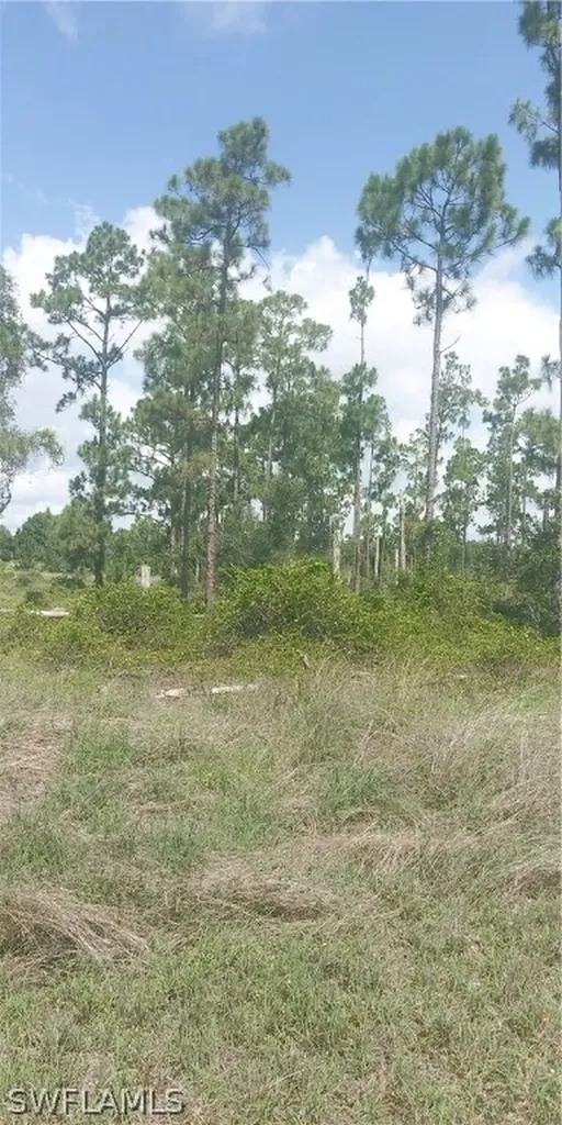 710 Giorgio Avenue S Lehigh Acres FL 33974