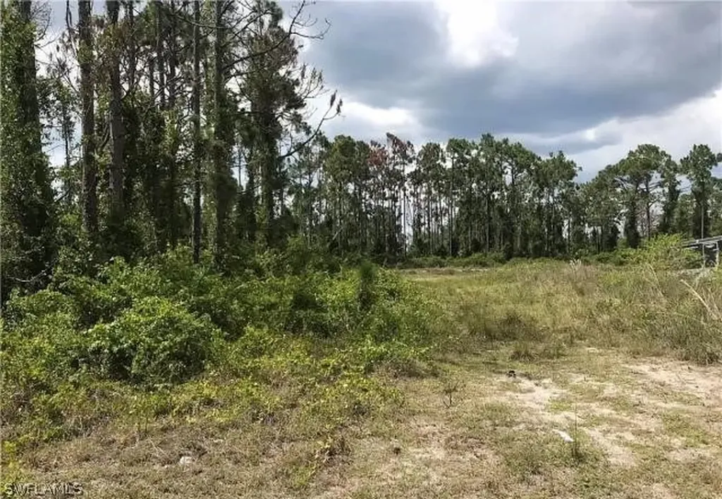 1157 Damen Street E Lehigh Acres FL 33974