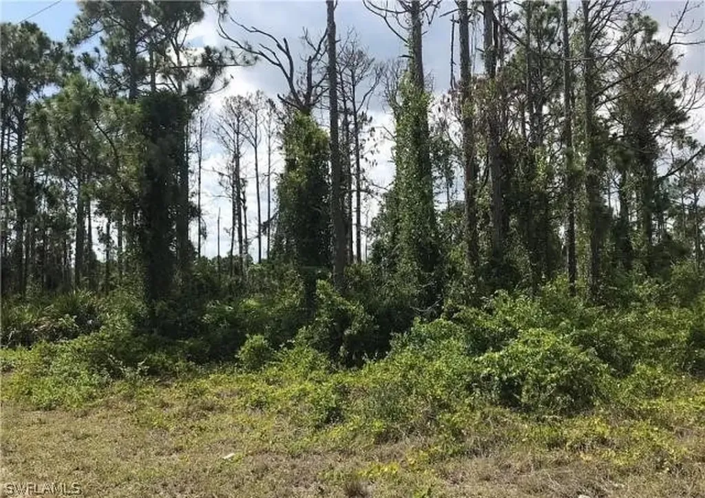 1157 Damen Street E Lehigh Acres FL 33974