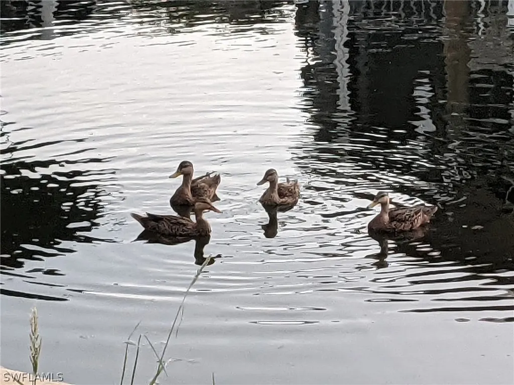 36 Emily Lane Fort Myers Beach FL 33931