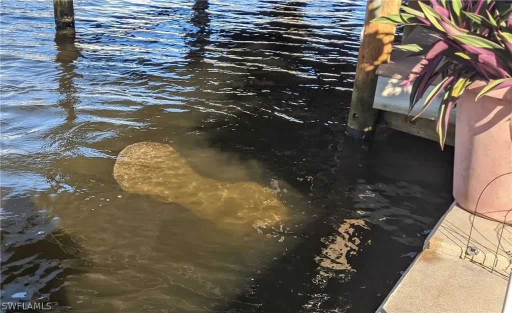 36 Emily Lane Fort Myers Beach FL 33931