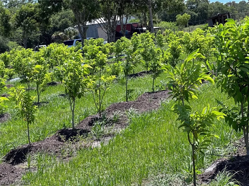 23660 Tinas Lane Fort Myers FL 33913