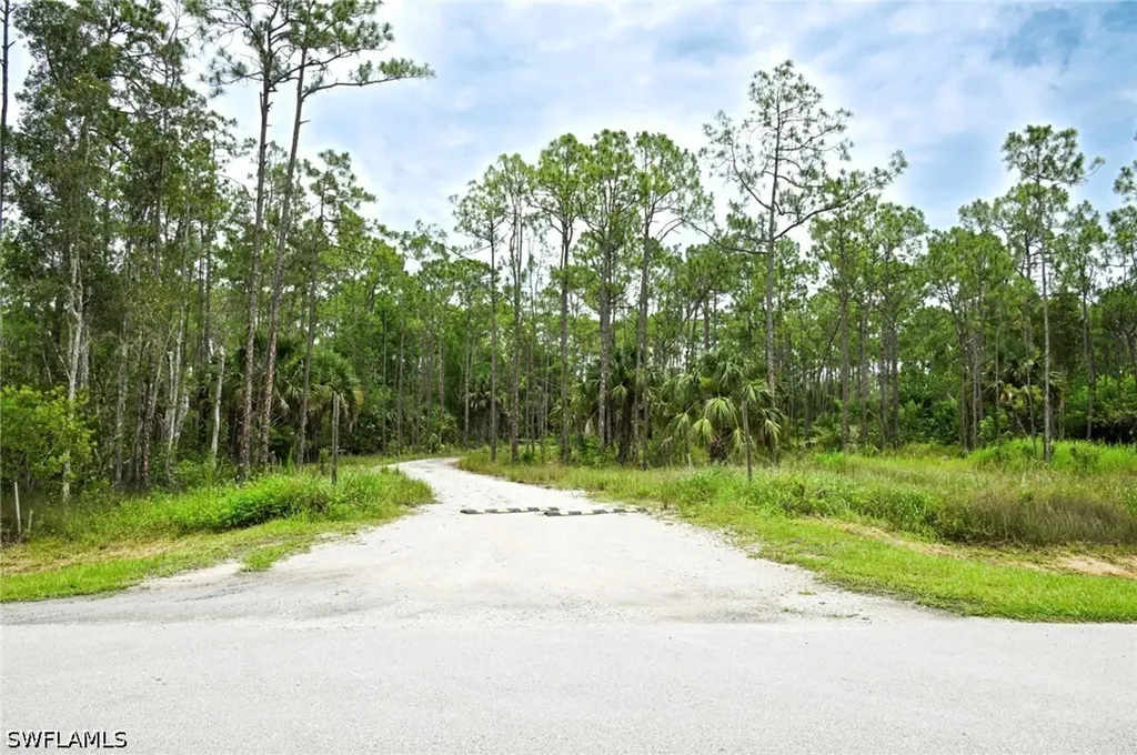 24443 Rocky Road Bonita Springs FL 34135