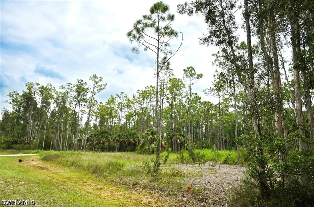 24443 Rocky Road Bonita Springs FL 34135