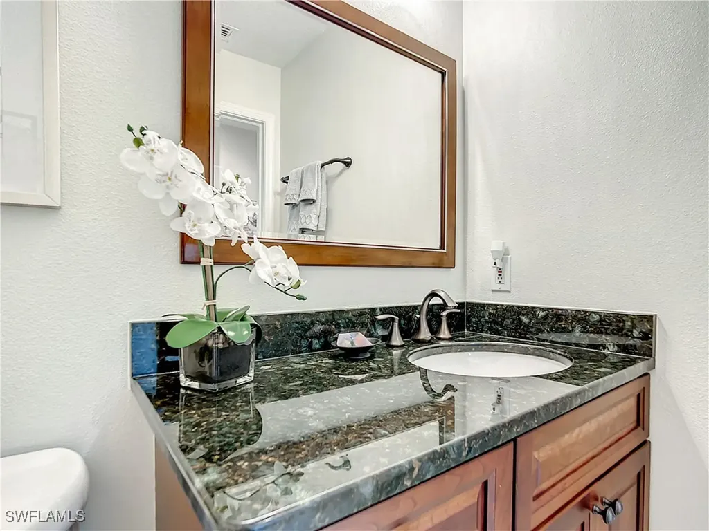 10015 Valiant Court Miromar Lakes FL 33913