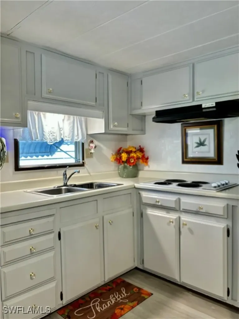 221 Shrub Lane N North Fort Myers FL 33917