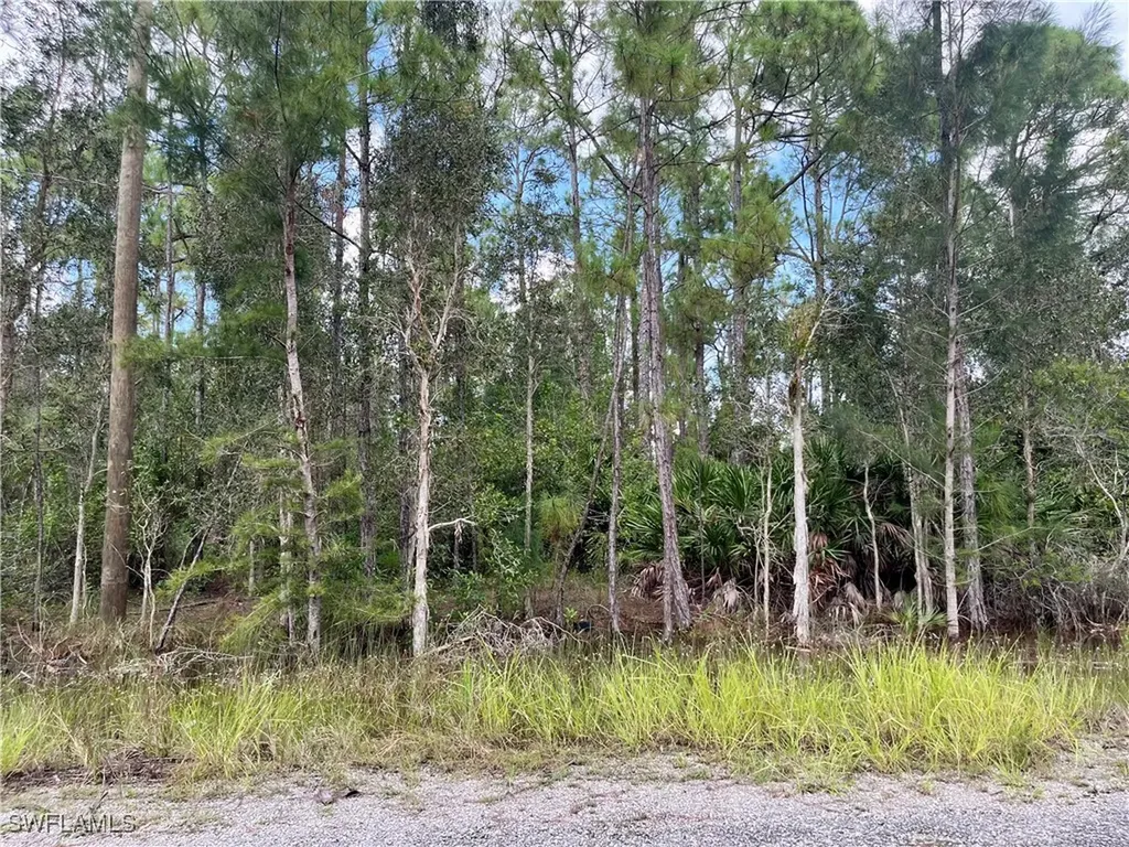 302 Rosanna Avenue Lehigh Acres FL 33972